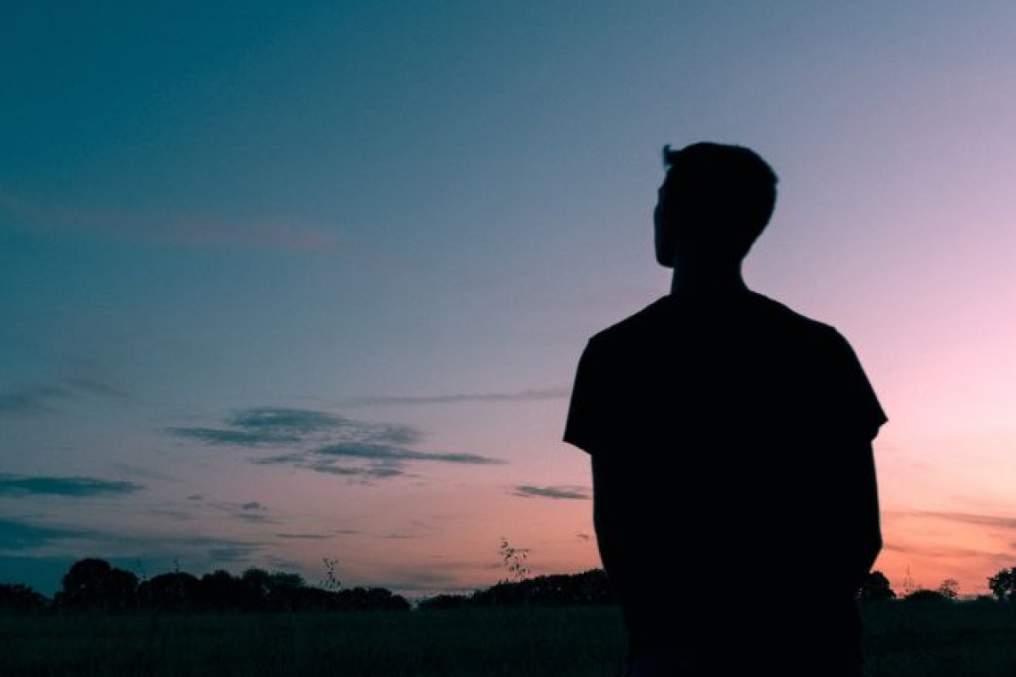 نظرية المزرعة .. إداة للتطوير