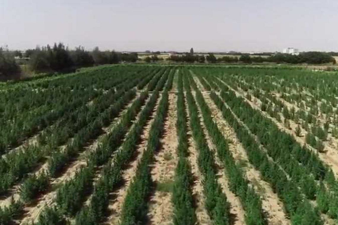 قصة .. وعبرة