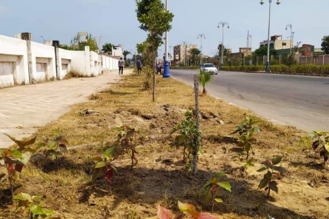 تطوير المسطحات الخضراء ببورسعيد