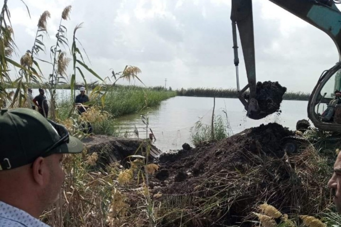 الأجهزة التنفيذية تزيل التعديات على أراضي الدولة .. بورسعيد