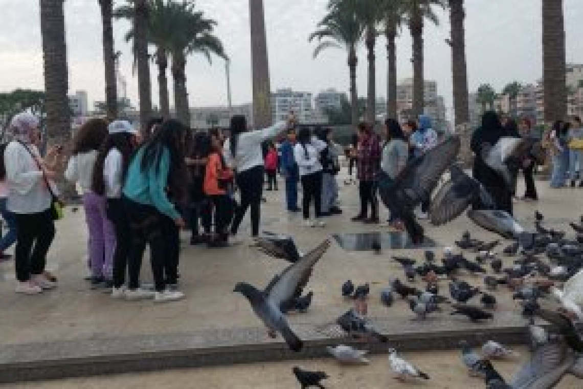 ميدان المسلة ببورسعيد يجمله أسراب من حمام السلام 