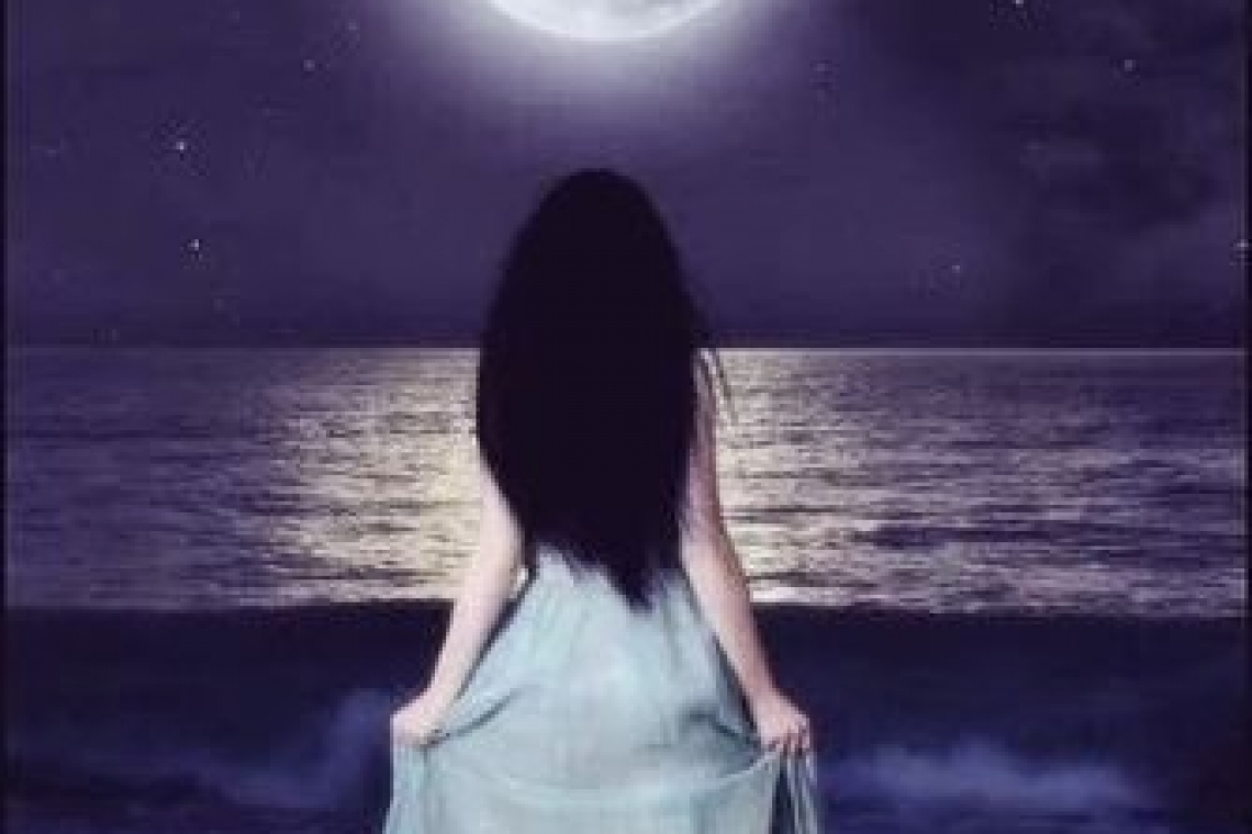 البحث عن حبيب